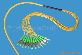 寧波緯誠網(wǎng)絡通信科技光纖跳線產(chǎn)品全覽